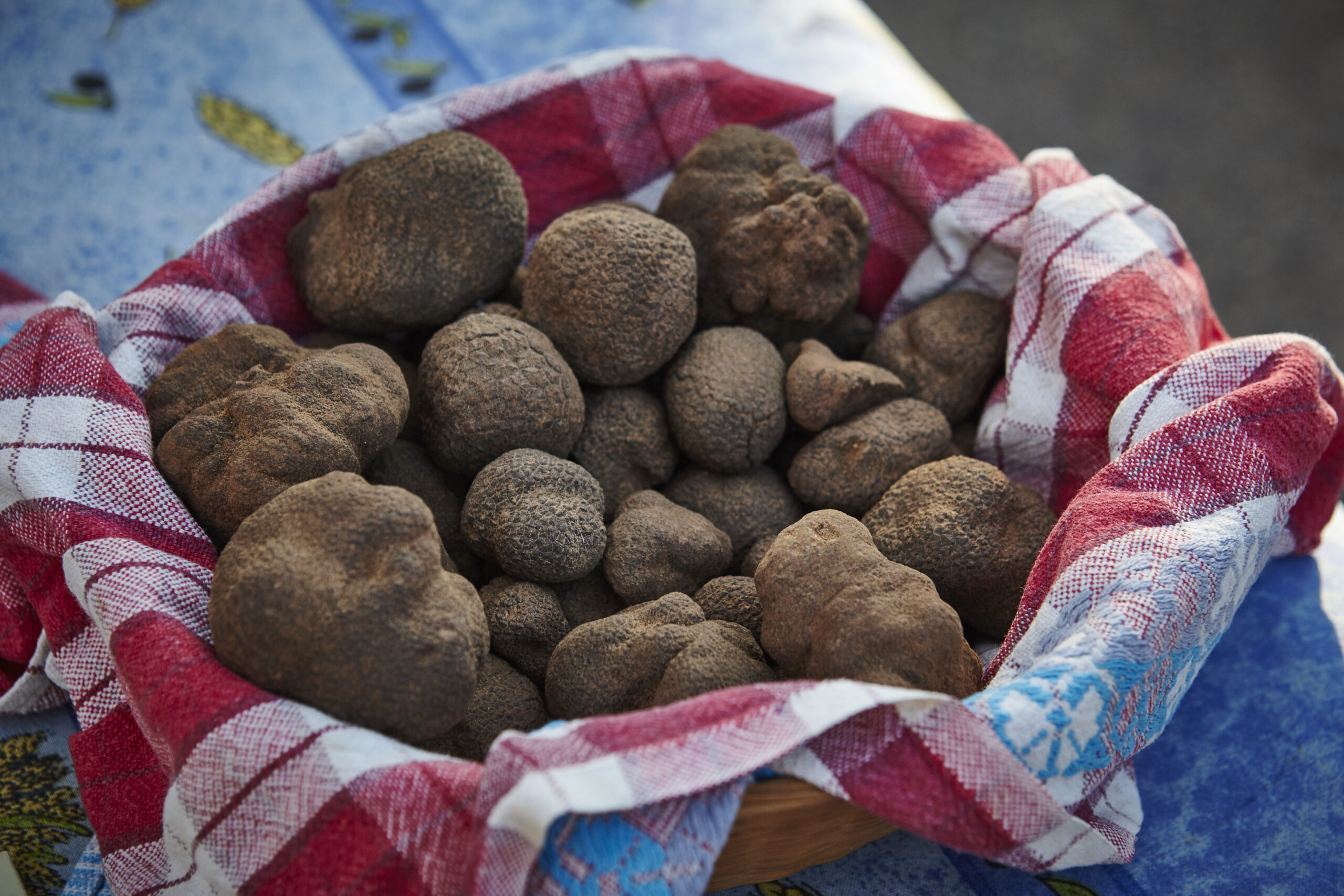 Prix au kilo de la truffe